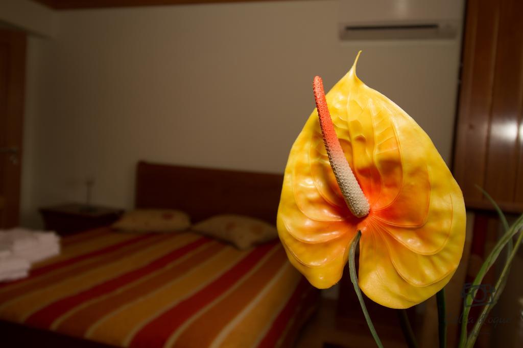 Hotel Casa Da Ribeirinha à Sabugueiro  Extérieur photo